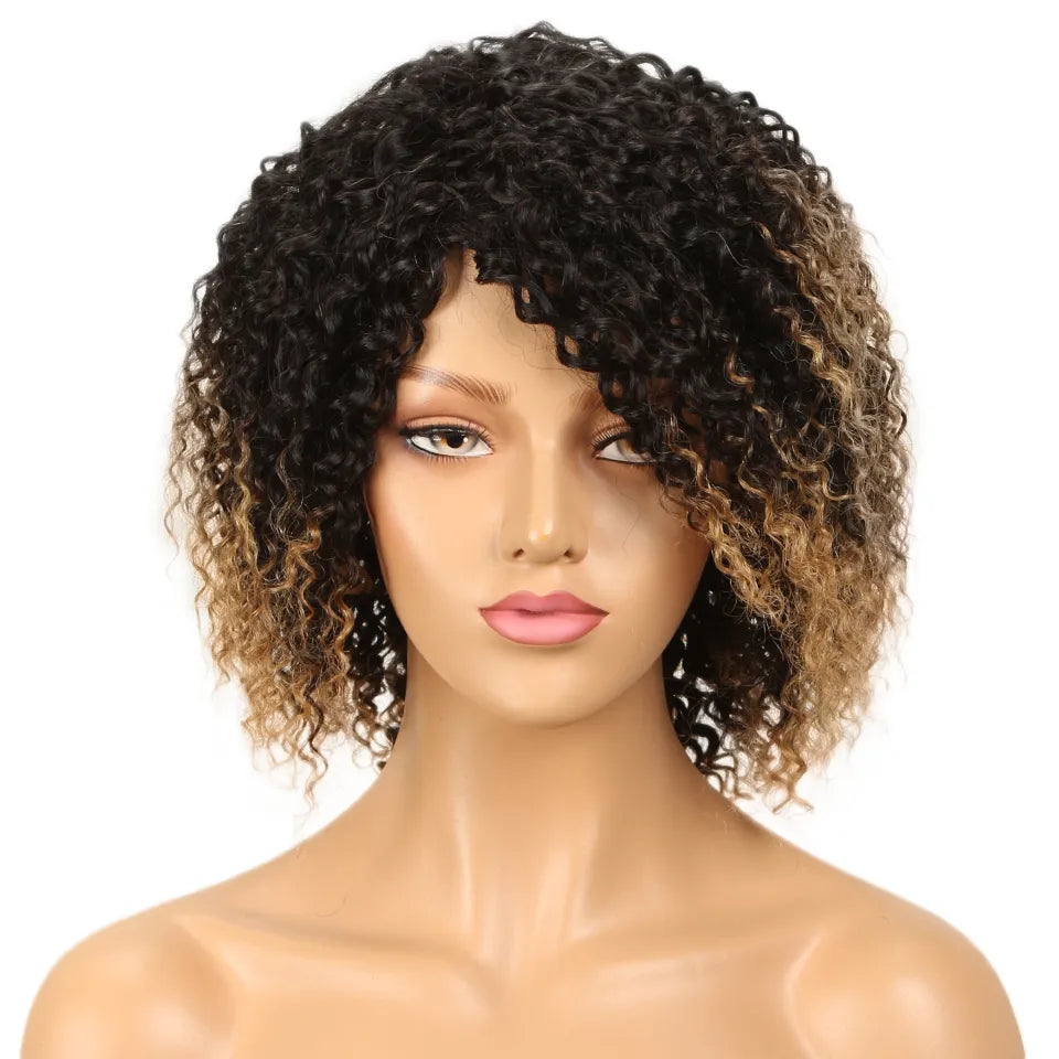 Sleek Afro Kinky Curly Black Human Hair Wigs Ombre T1B/30 Brazilian Curly Machine Made Remy Cheap Human Hair Wigs Free Shipping Afro Barbie Shop