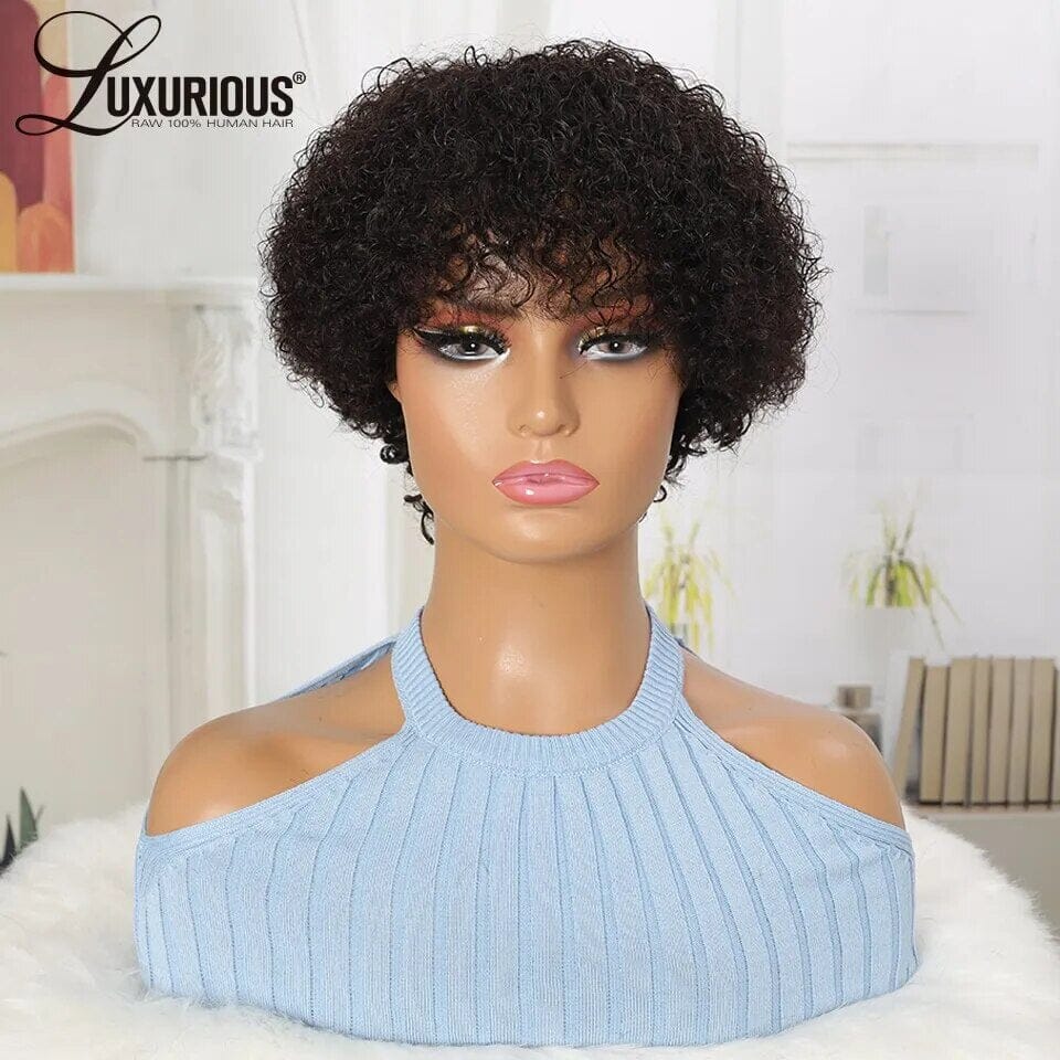 Brazilian Curly Human Hair Curly Wig Afro Barbie Shop