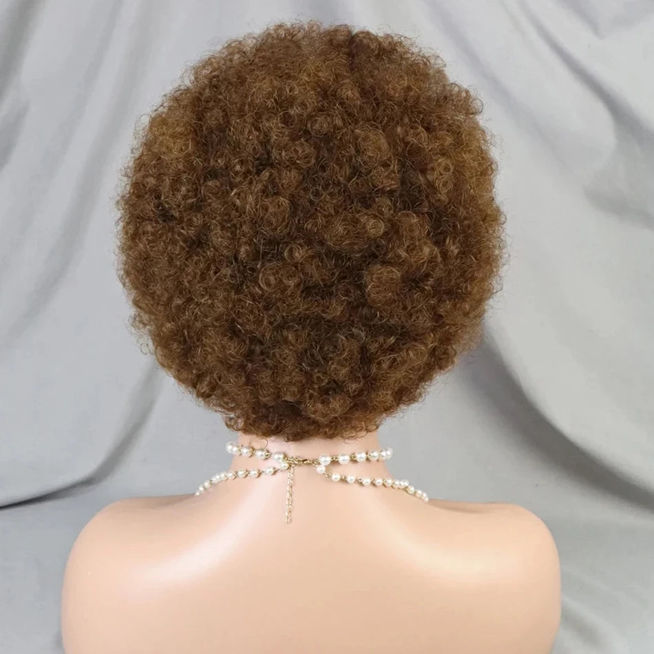 Frontal Afro Curly Wig Brazilian Afro Barbie