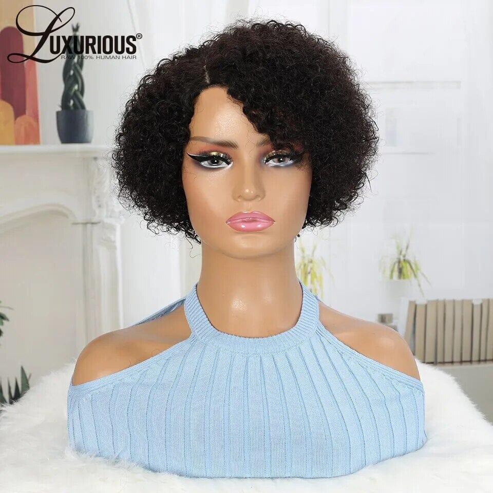 Brazilian Curly Human Hair Curly Wig Afro Barbie Shop