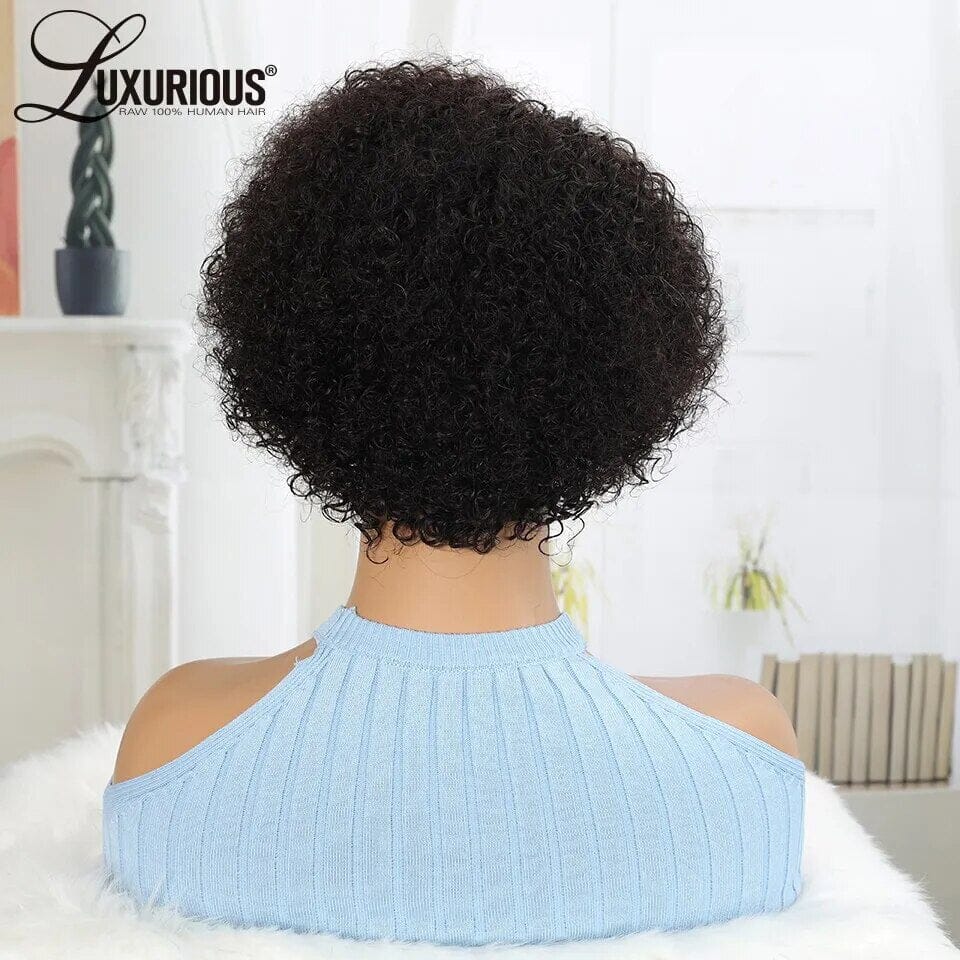 Brazilian Curly Human Hair Curly Wig Afro Barbie Shop