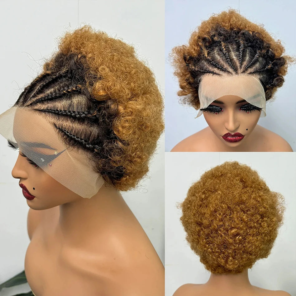Frontal Afro Curly Wig Brazilian Afro Barbie