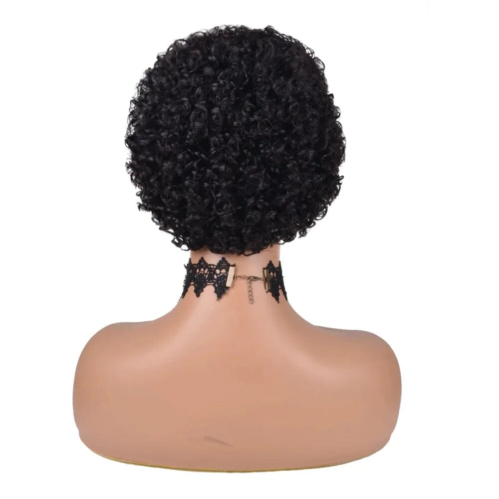 Kinky Curly Wigs Short Wigs for Black Women Human Hair Brazilian Curly Human Hair Wigs Full Machine Made Pixie Cut Wig Glueless Afro Barbie 